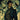 Sherlock Holmes: The Adventure of the Noble Bachelor