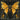 The Gold Bug