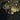The Shadow Over Innsmouth